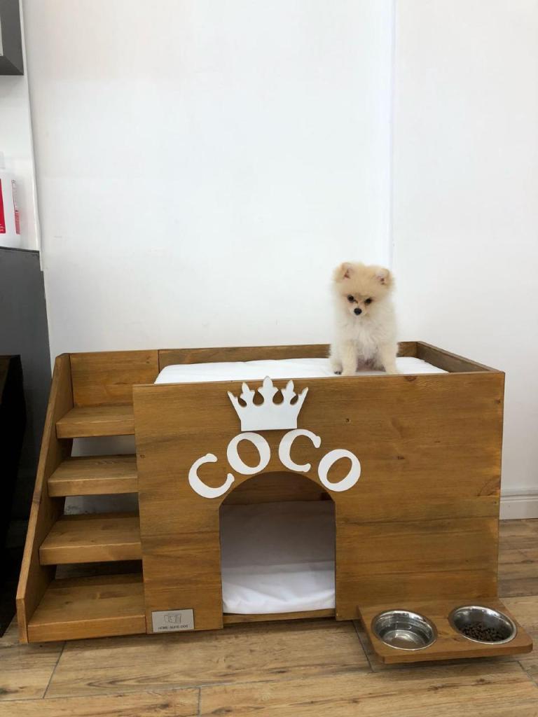 HOME SUITE DOG HOME SUITE DOG