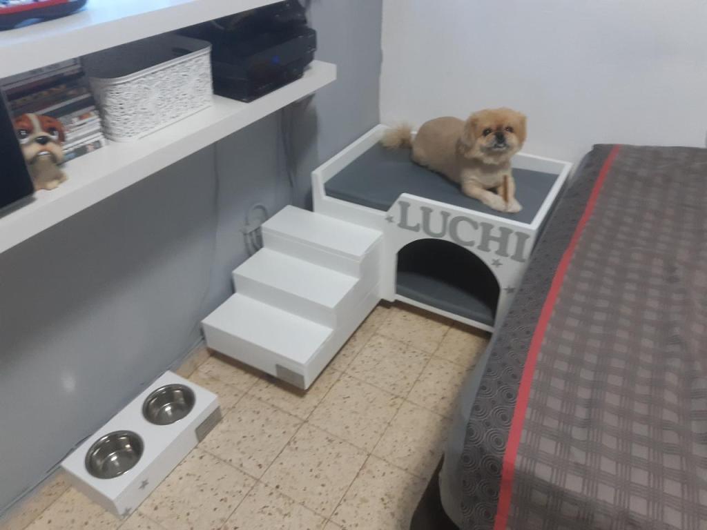 HOME SUITE DOG HOME SUITE DOG