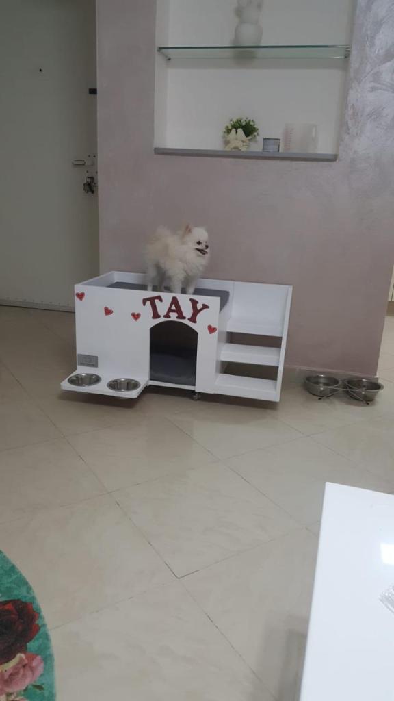 HOME SUITE DOG HOME SUITE DOG