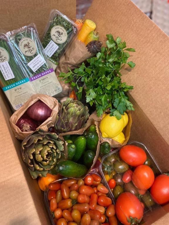 טרי בכפר טרי בכפר