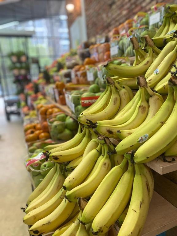 טרי בכפר טרי בכפר