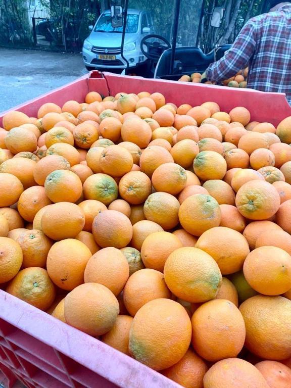 טרי בכפר טרי בכפר