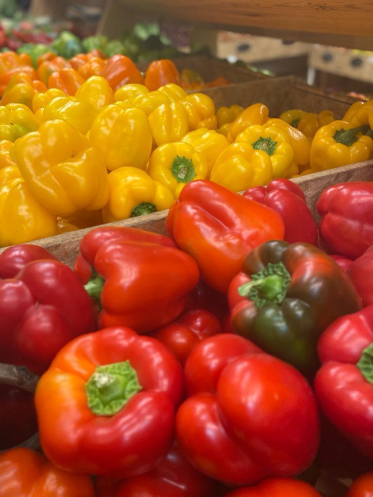 טרי בכפר טרי בכפר