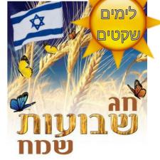 PM פתרונות מיגון משה פינגלה