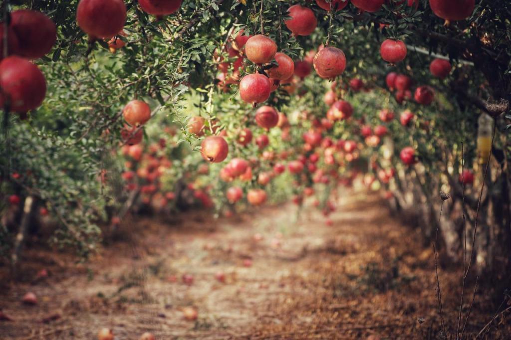 סטודיו bbb סטודיו bbb