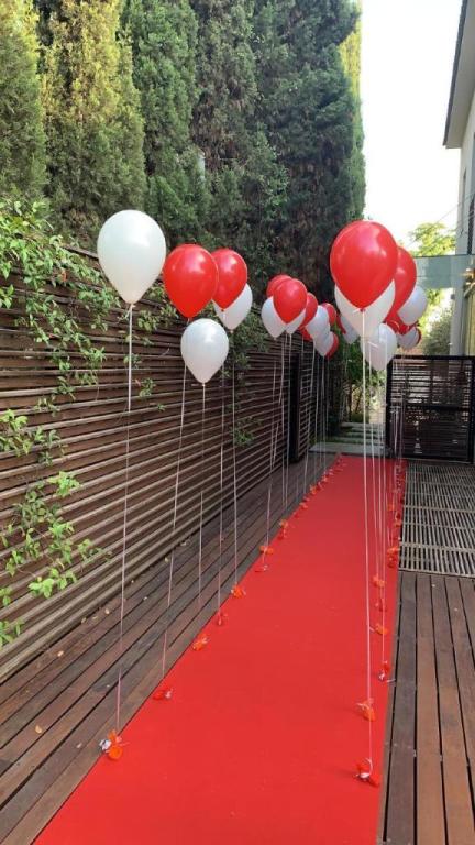 ניניו פרחים ניניו פרחים