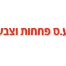 ע.ס פחחות וצבע מוסך