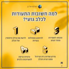 האילוף של בן