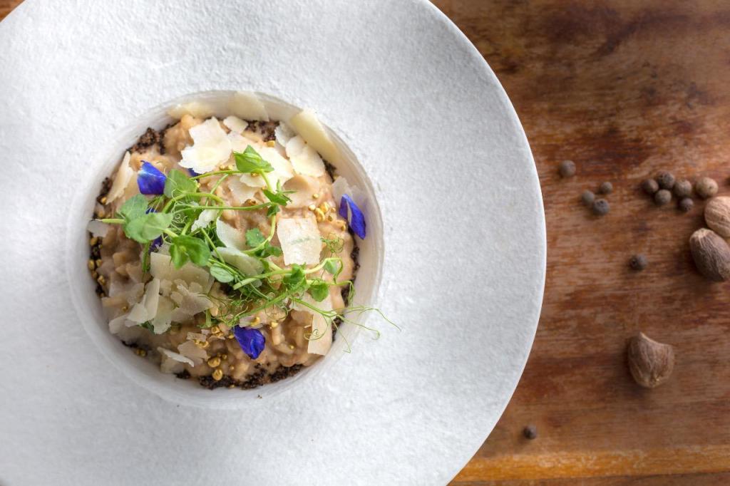 נופר בוגנים צלמת נופר בוגנים צלמת