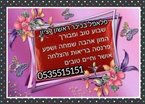 פלאפל בכיכר