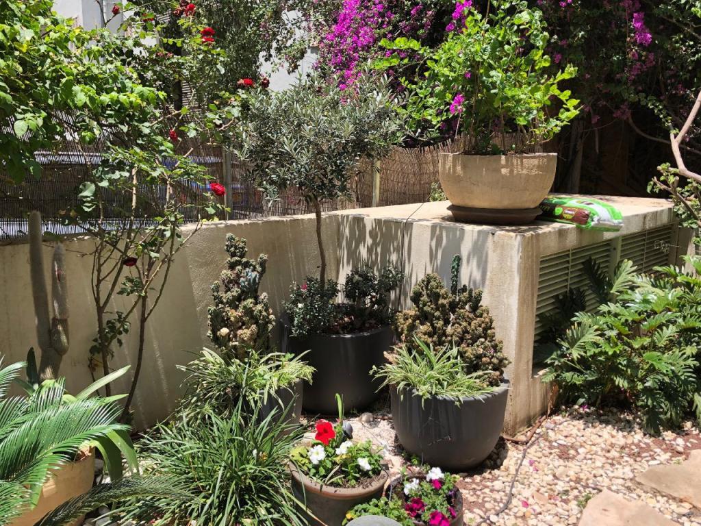 טבע בגובה עיצוב הגן טבע בגובה עיצוב הגן