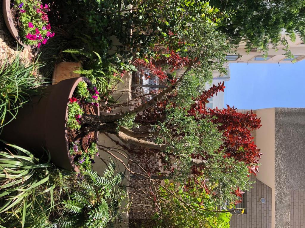 טבע בגובה עיצוב הגן טבע בגובה עיצוב הגן