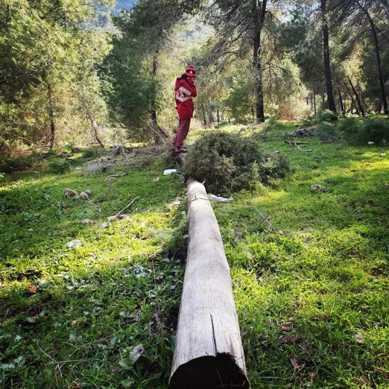 אסף זמיר אסף זמיר