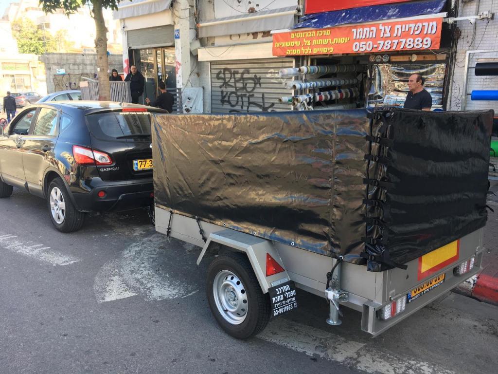 ברזנטים צל התמר ברזנטים צל התמר