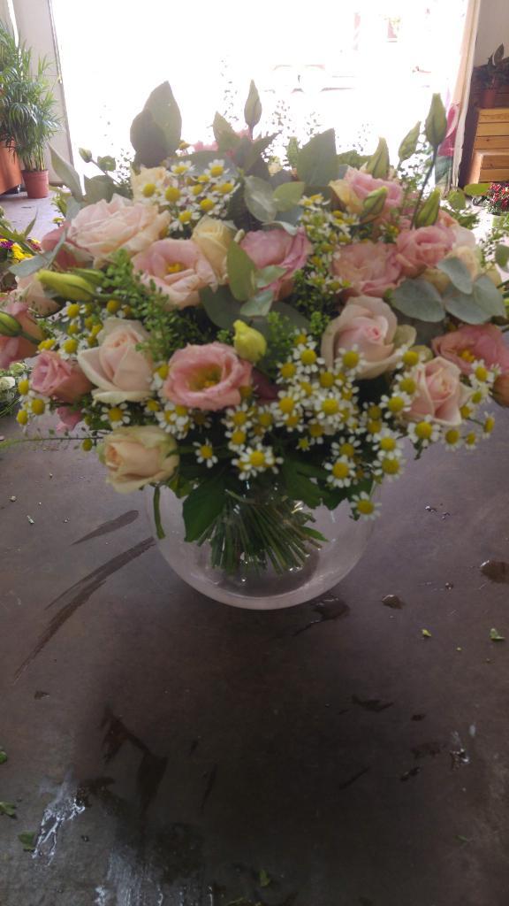 טוליפ פרחים טוליפ פרחים