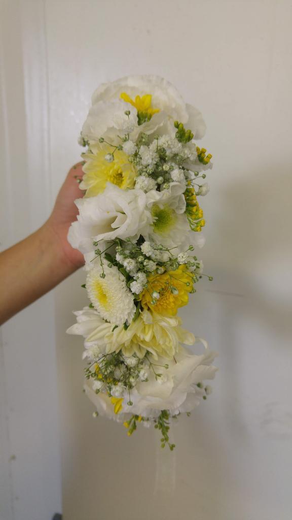 טוליפ פרחים טוליפ פרחים