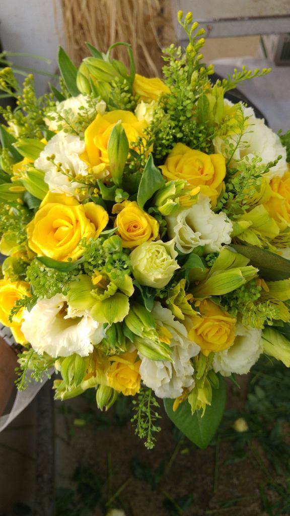 טוליפ פרחים טוליפ פרחים