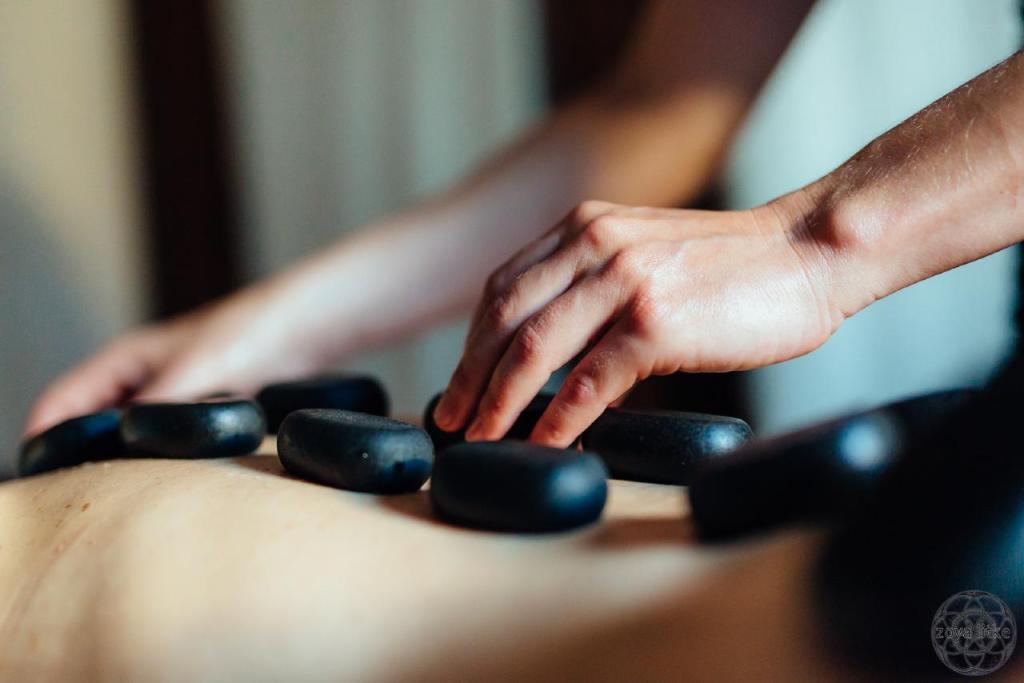 זויה ליטקה זויה ליטקה