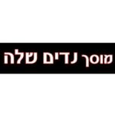 אחים שלה מוסך