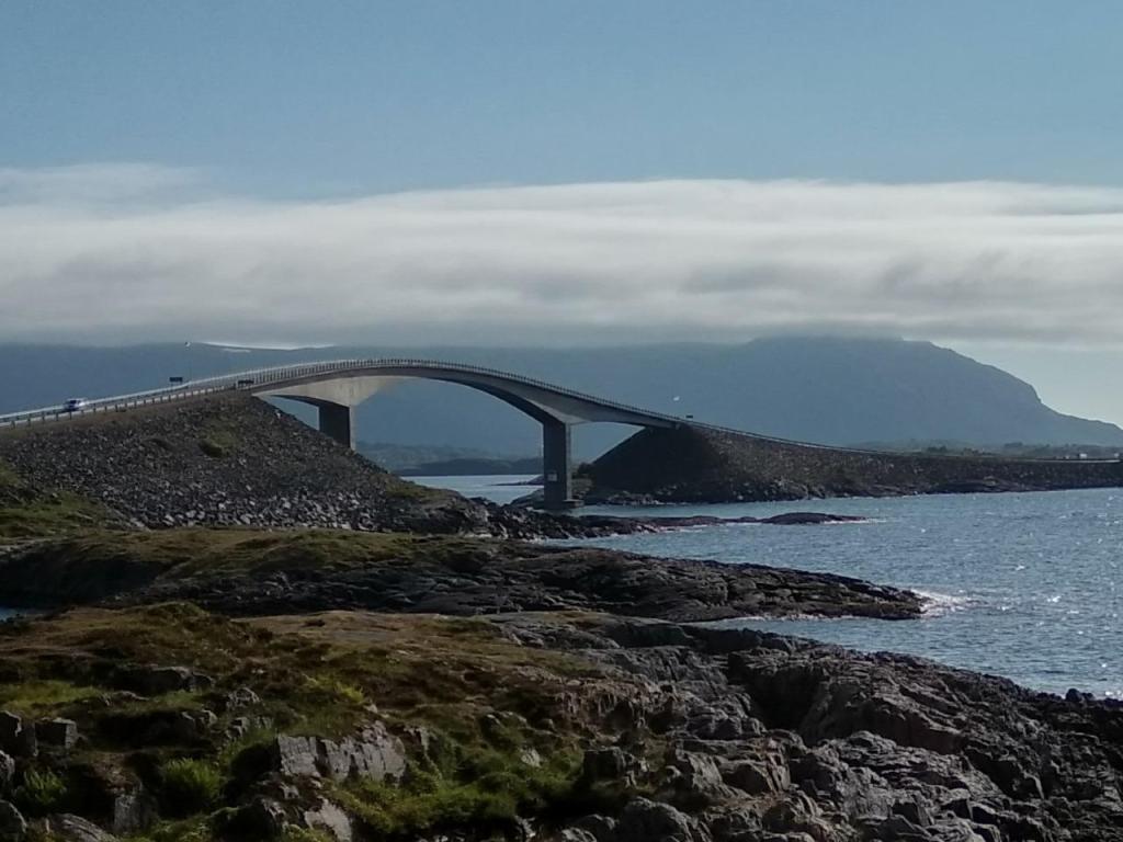 נטע ושרון נטע ושרון