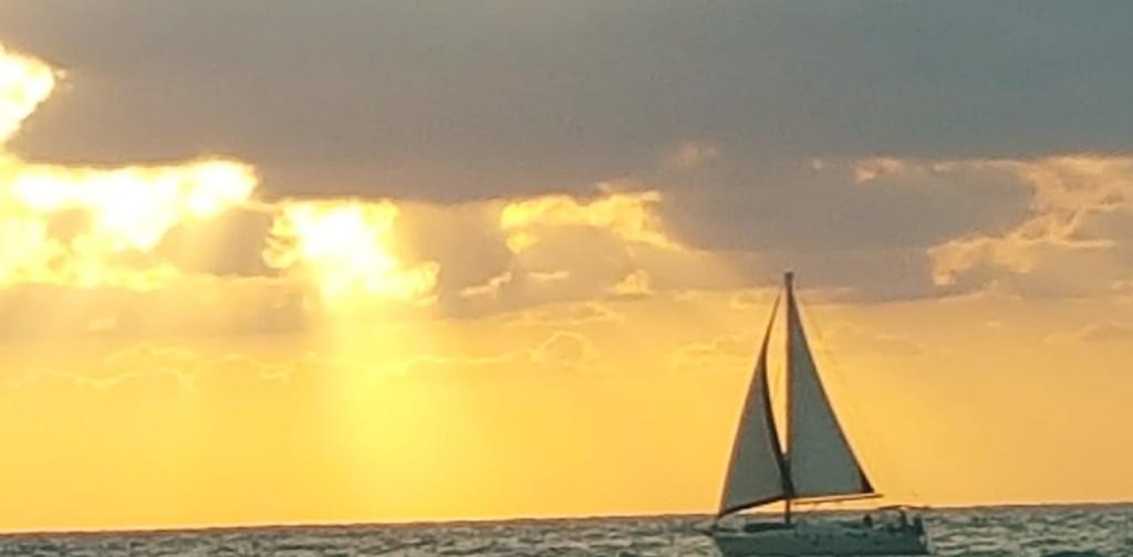 נטע ושרון נטע ושרון