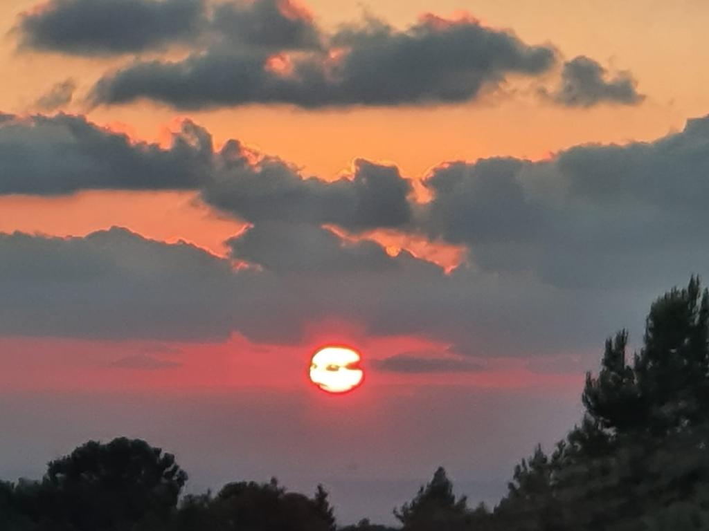 נטע ושרון נטע ושרון