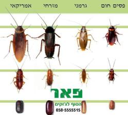 פאר הדברה