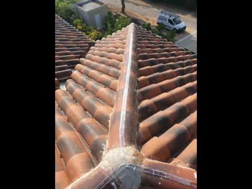 ספיידר נט ספיידר נט