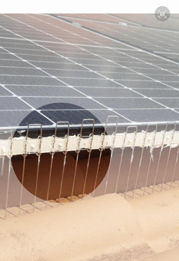 ספיידר נט ספיידר נט