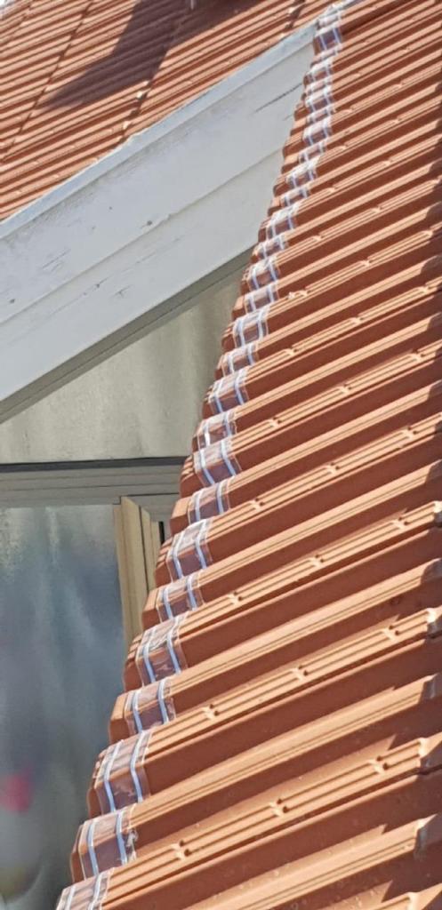 ספיידר נט ספיידר נט