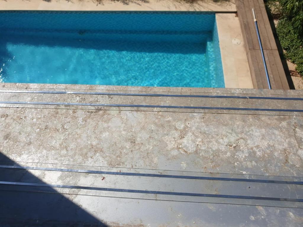 ספיידר נט ספיידר נט