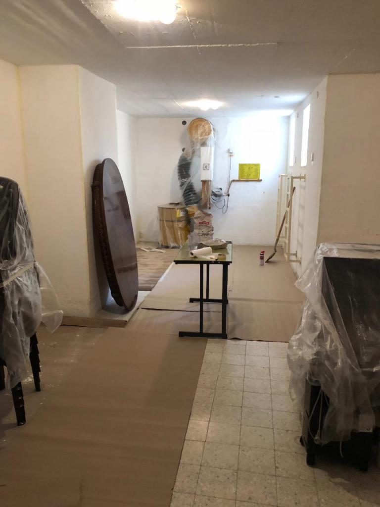 כרמל קולור כרמל קולור