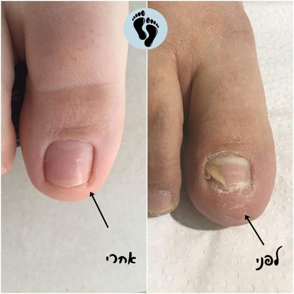 ג'נט קוסמטיקס ג'נט קוסמטיקס