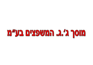 ג.ג המשפצים בע"מ-מוסך