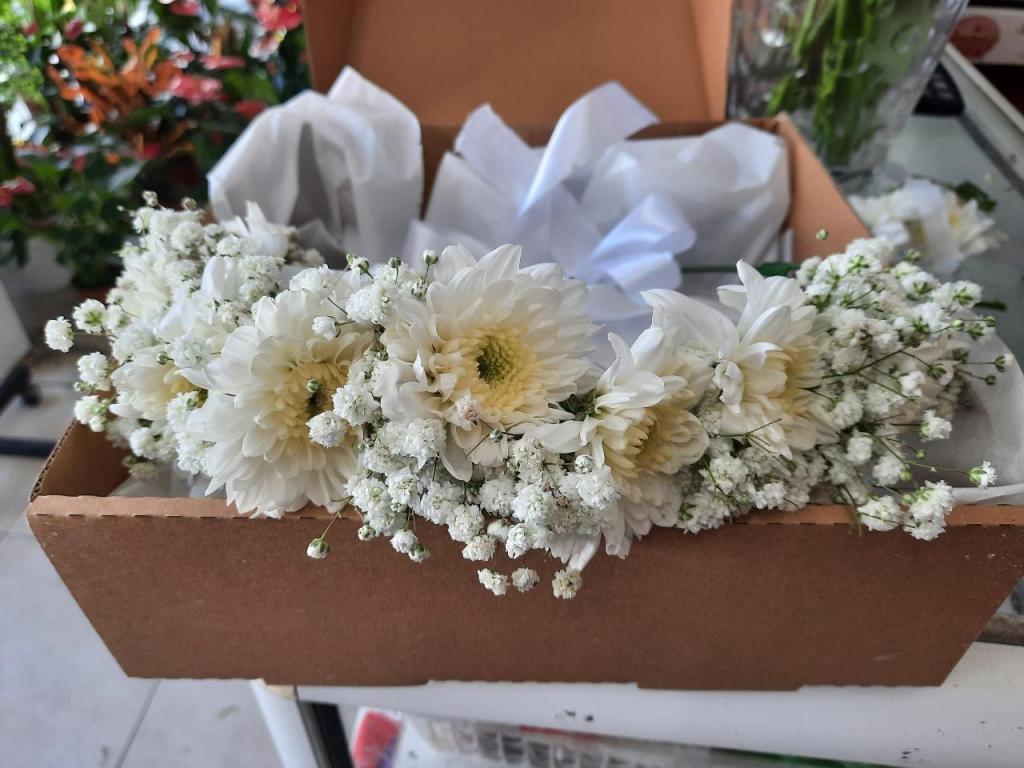 פרחי ההגנה פרחי ההגנה