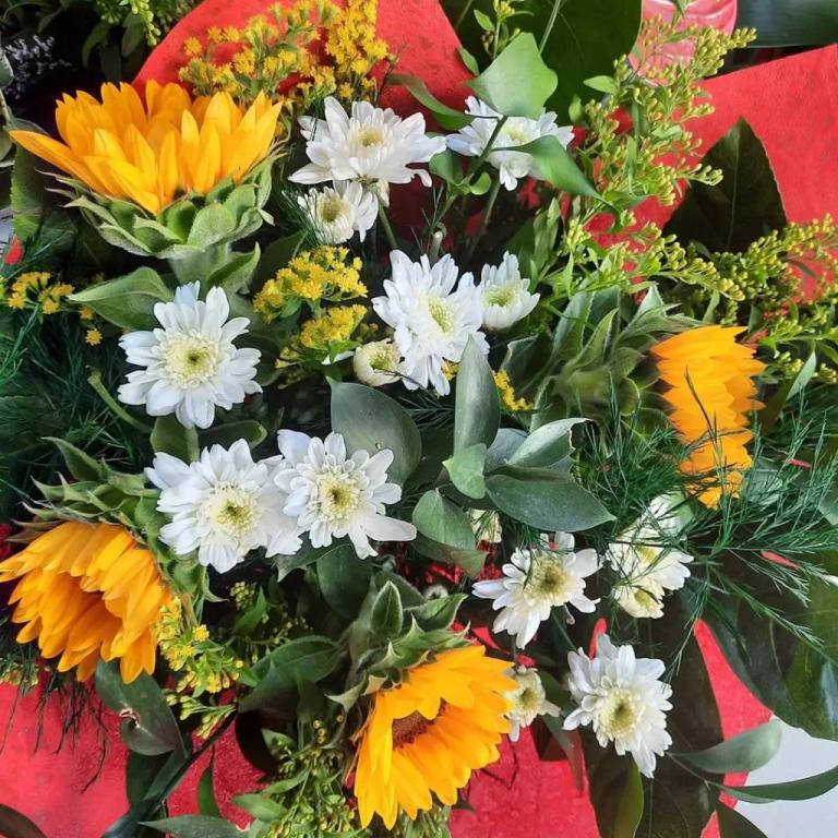 פרחי ההגנה פרחי ההגנה