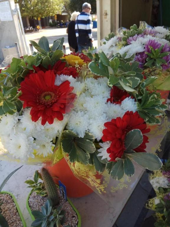 פרחי הקוממיות פרחי הקוממיות