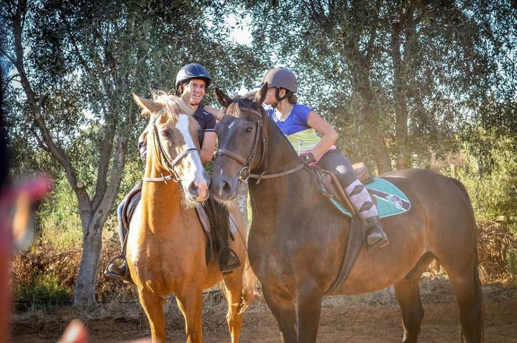 חוות הפיקוס חוות הפיקוס